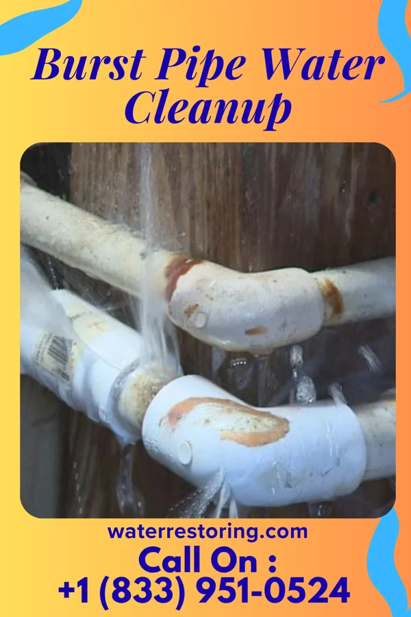 Burst Pipe Water Cleanup in Independence, KY