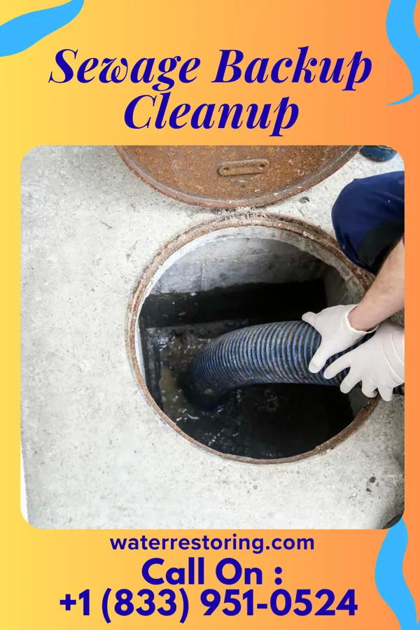 Sewage Backup Cleanup in Independence, KY