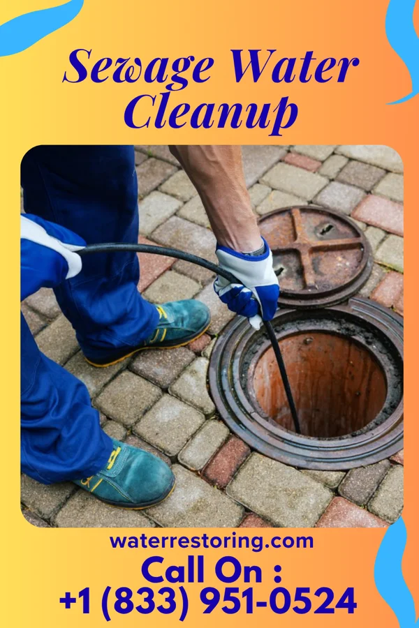 Sewage Water Cleanup in Independence, KY